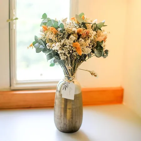 Bed & Breakfast Chateau Valmy - Teritoria